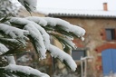 IMG 4799