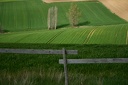 img 0811